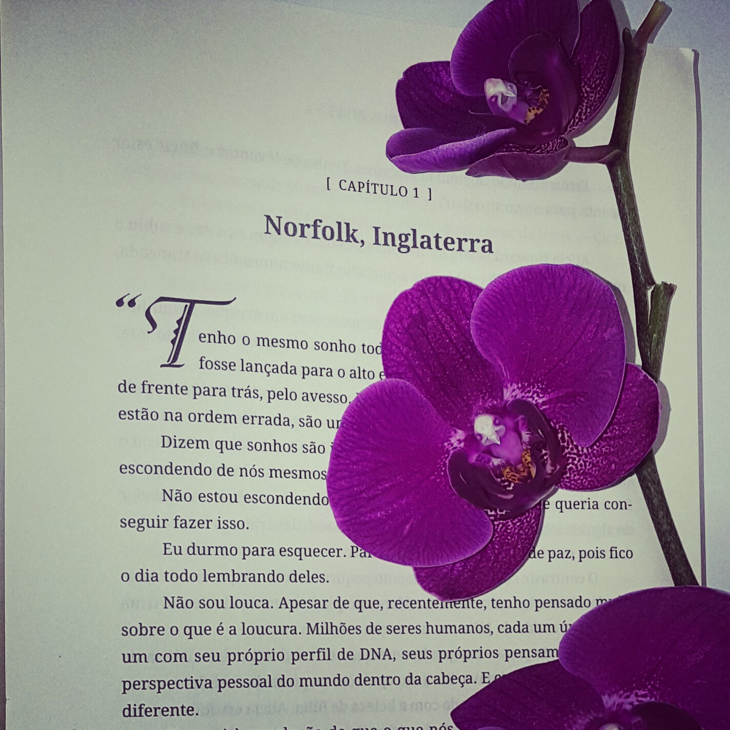 livro a casa das orquídeas