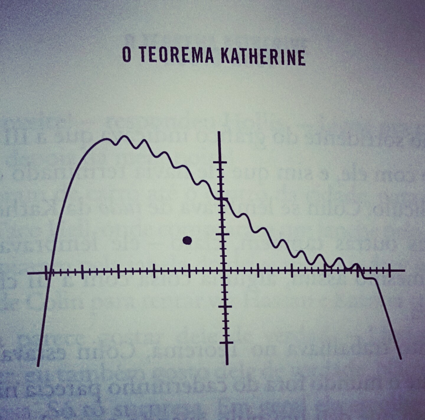 Livro O Teorema de Katherine